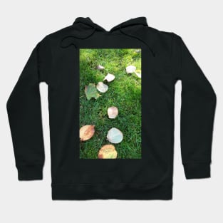 Autumn is here Hoodie